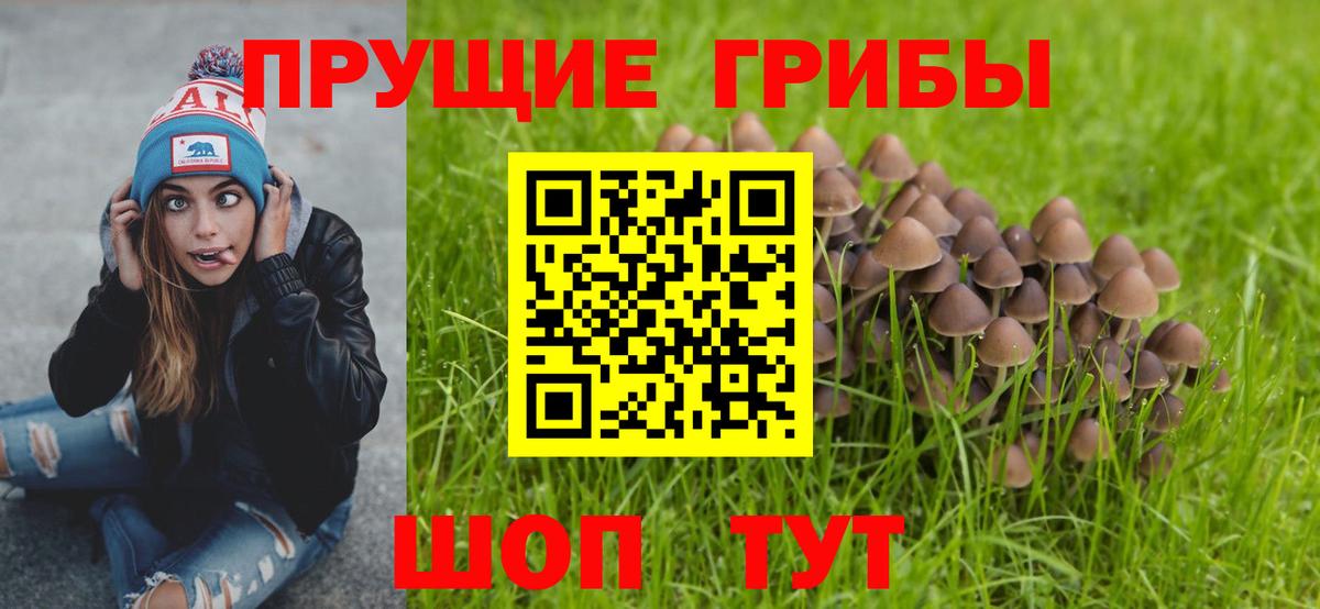 Псилоцибиновые грибы ЛСД  Вход с VPN  Сокол 